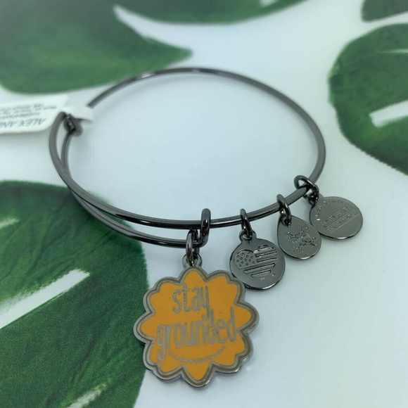 Alex and Ani Stay Grounded Charm Bangle Bracelet - Picture 3 of 8